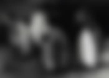 Penguins (preview)