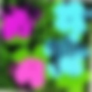 Flowers (preview)