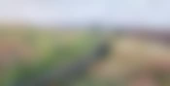Le sentier (preview)