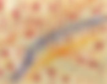 Composition (preview)