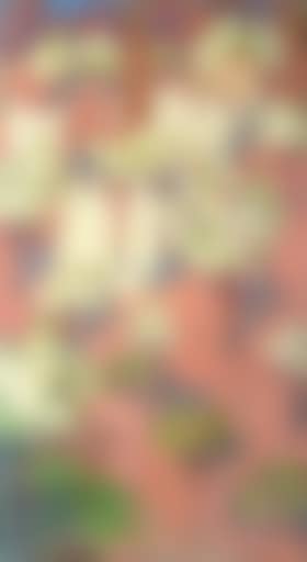 Virginal printemps, pommiers en fleurs (preview)
