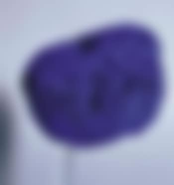 SE 241 S (preview)