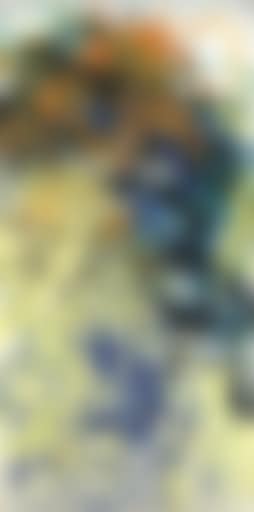 Xavier (preview)