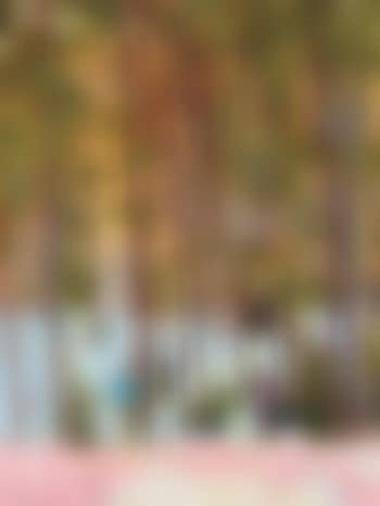 Figures in trees (preview)