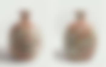 Great bear (preview)