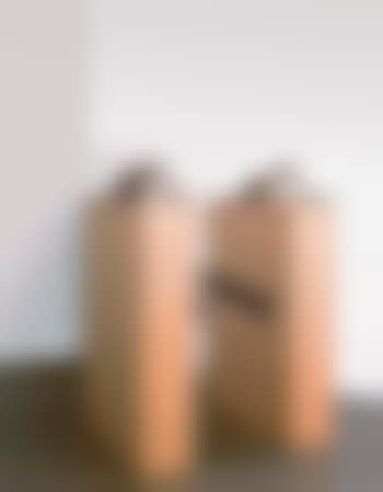 Painter (preview)