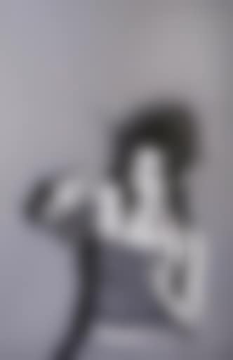 Portrait series (preview)