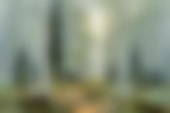 Summer Aspen trail, landscape (preview)