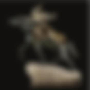Towards the unknown, Valkyrie (preview)