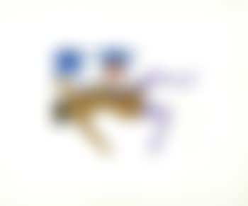 Embossed nude with still life (preview)