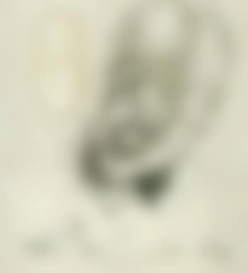 Portrait de Sigmund Freud (preview)