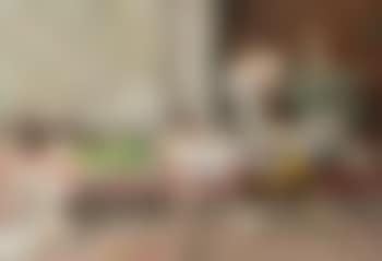 Harem (preview)