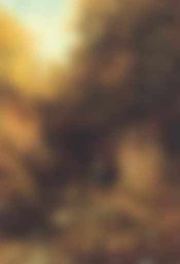 Two children in a woodland (preview)