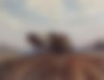 Ploughing (preview)