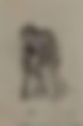 Study of a man with walking crutch (preview)