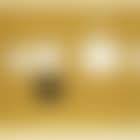 Ochre still life (preview)
