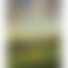 Chartwell landscape with sheep (preview)