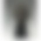 Third portrait of Meum, musk (preview)