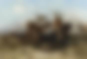 Escouade de cavaliers Arabes (preview)