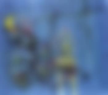 Choix d'invisibles (preview)