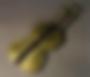 Split violin (preview)