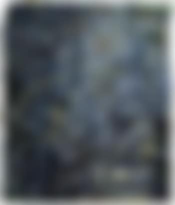 Zephir hardi (preview)