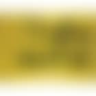 Sante bis (preview)