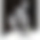 Diaphragm (preview)