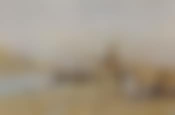 On the banks of the Nile (preview)