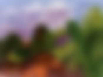 Landscape, Koster (preview)