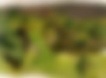 Fields between mountains (preview)