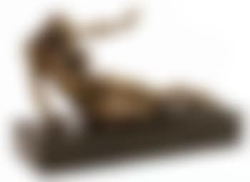 Le cabinet Antropomorphique (preview)