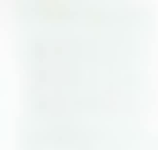White ovals (preview)