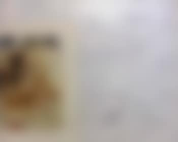 Dedicace (preview)