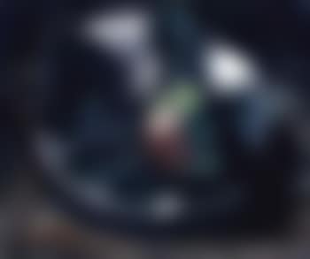 Nature morte aux fruits (preview)