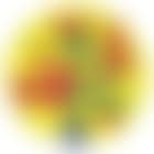 Still life (preview)