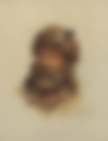 John Colter (preview)