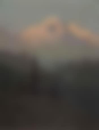 Mt. McKinley (preview)