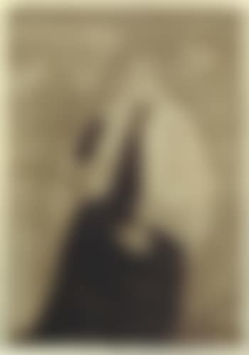 Portrait of the artist's mother (preview)