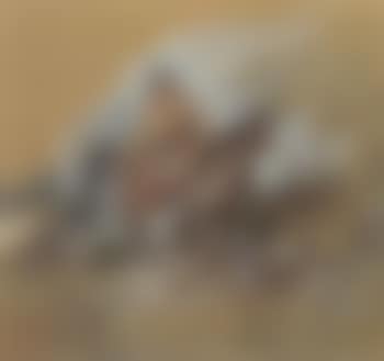 Crow scout (preview)