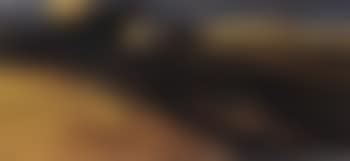 Lion on the desert (preview)