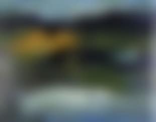 Untitled landscape (preview)