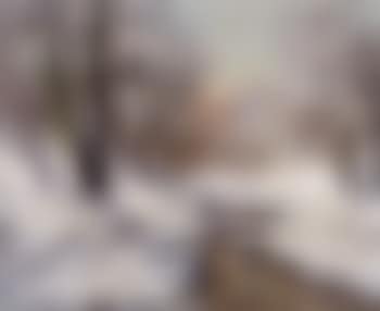 Winter forest at sunset (preview)