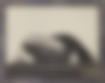 United States airship, Akron (preview)