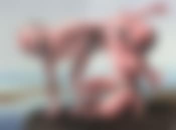 Free and at leisure series no.12 (preview)