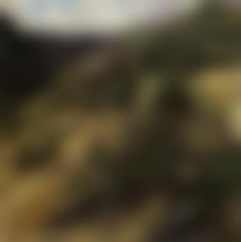 Landscape (preview)