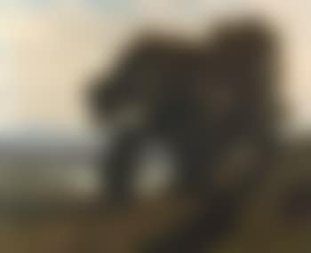 Chestnut trees, Horw (preview)