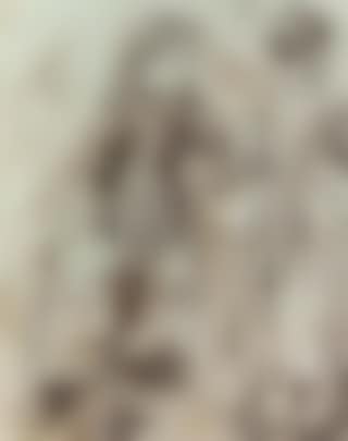 Study of children (preview)