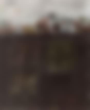 Kyoto landscape (preview)