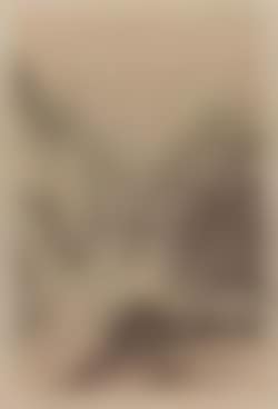 Mountain stream (preview)
